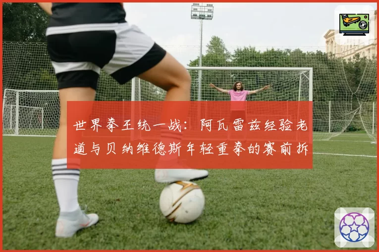 世界拳王统一战:阿瓦雷兹经验老道与贝纳维德斯年轻重拳的赛前拆解