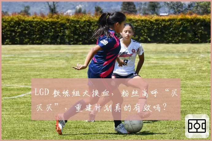 LGD 教练组大换血,粉丝高呼“买买买”,重建计划真的有效吗?